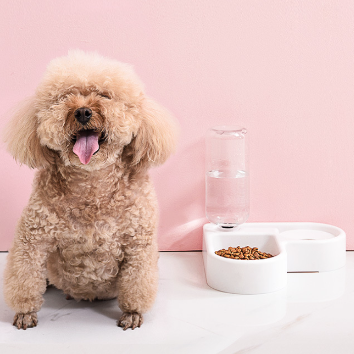 Automatic Pet Water Dispenser