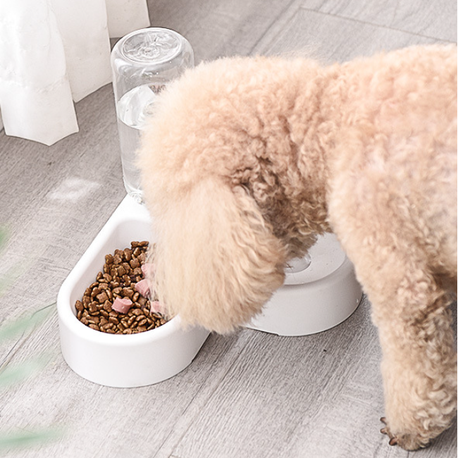 Automatic Pet Water Dispenser